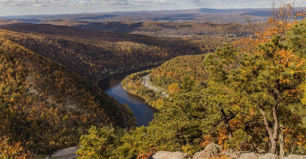 Delaware mobile ID updates